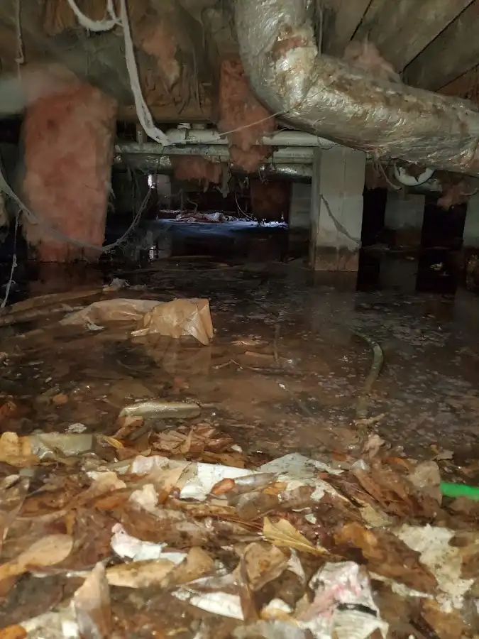 Crawl space flood assessment for Leak Detection & Repair in Charlestown